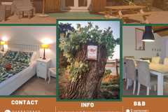 website-5